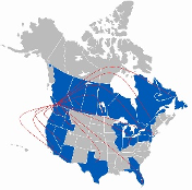 Strategic 3PL warehouse in Canada enabling U.S. market growth